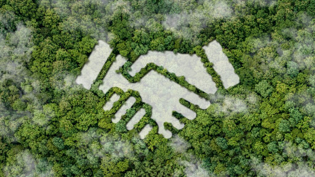 Vista aérea de un bosque con un claro en forma de apretón de manos, que representa un acuerdo o contrato entre empresas