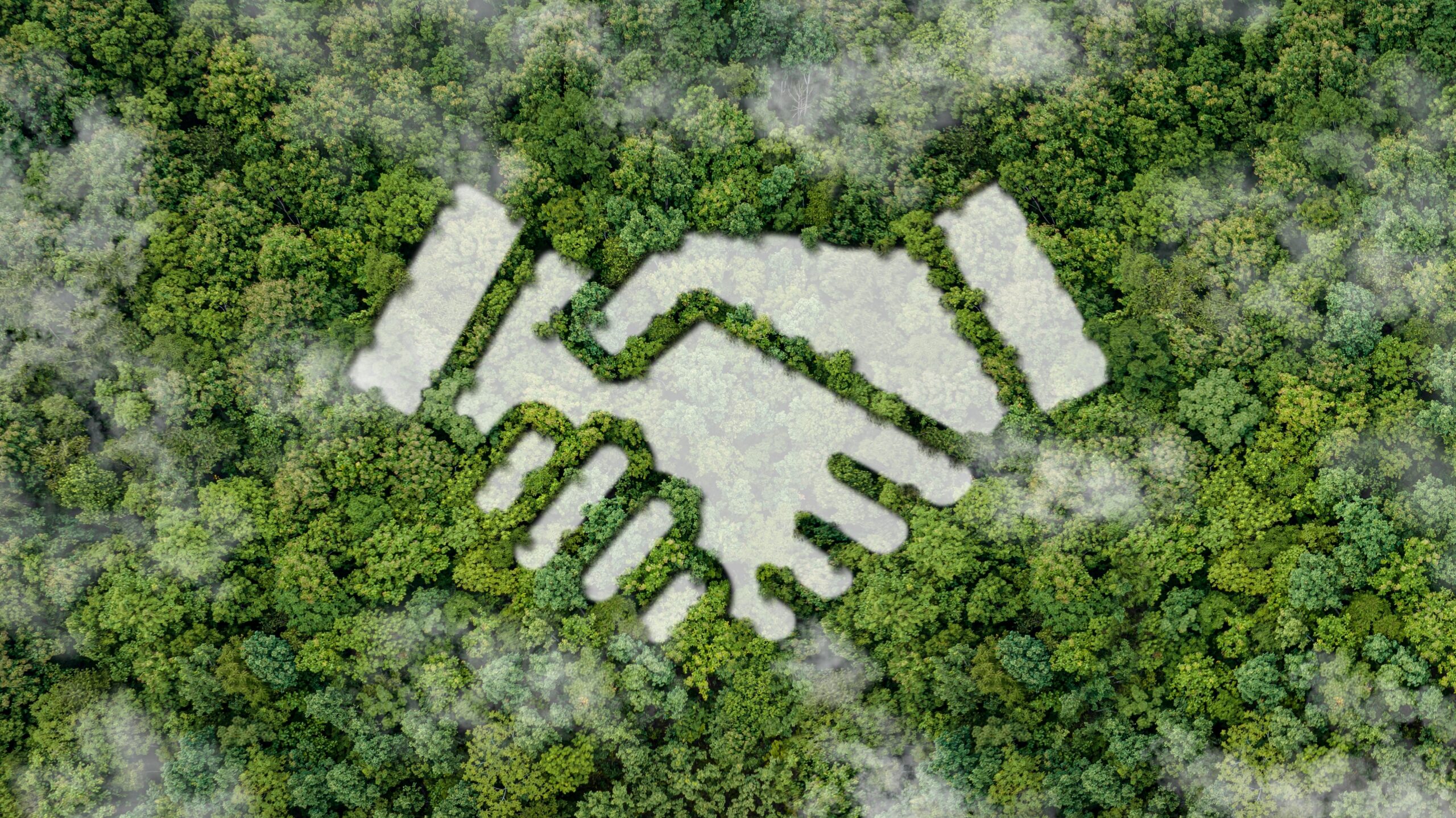 Vista aérea de un bosque con un claro en forma de apretón de manos, que representa un acuerdo o contrato entre empresas
